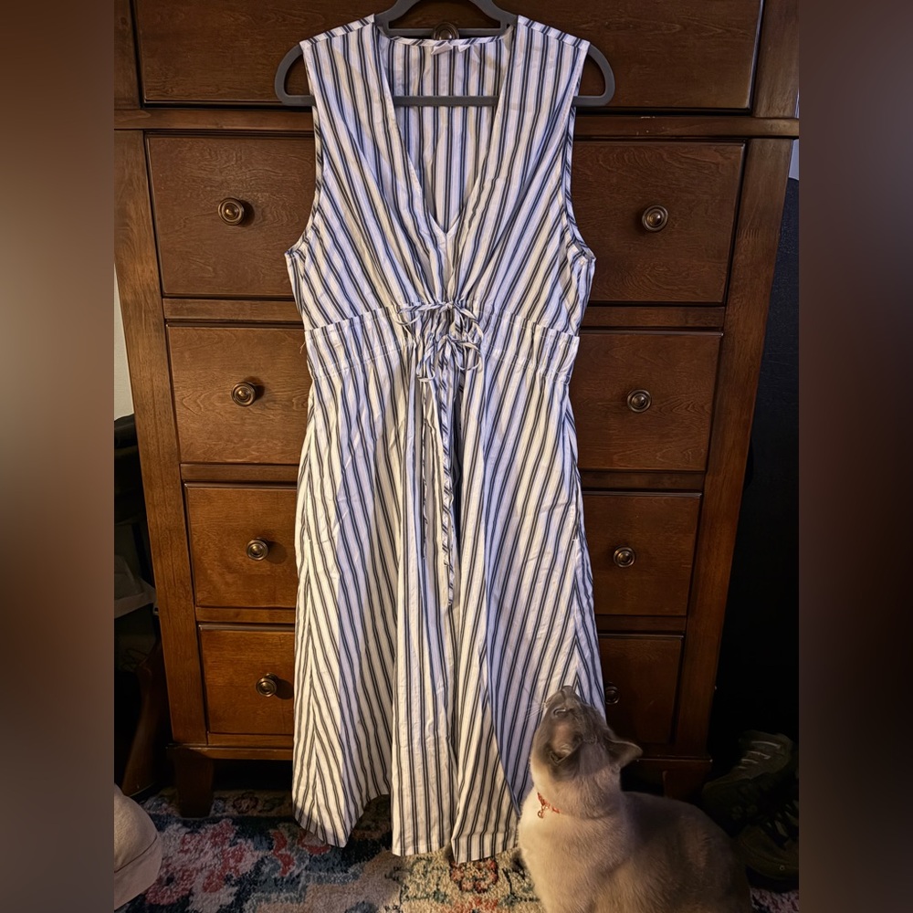 GAP Blue and White Striped Sleeveless Maxi Dress - Picture 2 of 9